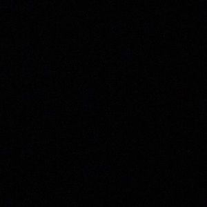 Meet your Posher, Travis